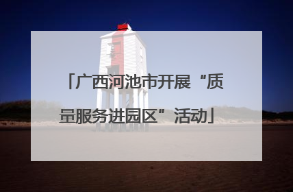 广西河池市开展“质量服务进园区”活动