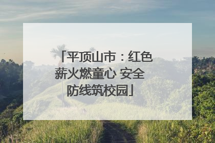 平顶山市：红色薪火燃童心 安全防线筑校园