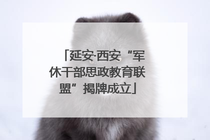 延安·西安“军休干部思政教育联盟”揭牌成立