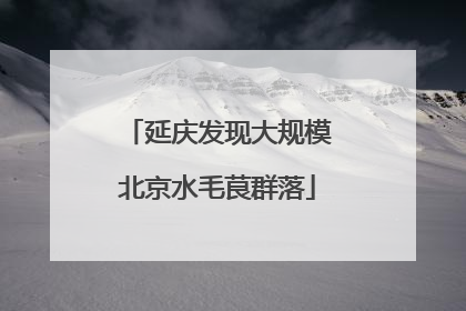 延庆发现大规模北京水毛茛群落