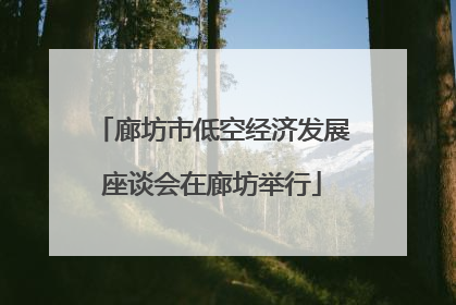 廊坊市低空经济发展座谈会在廊坊举行