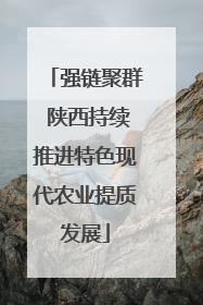 强链聚群 陕西持续推进特色现代农业提质发展