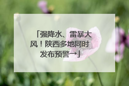 强降水、雷暴大风！陕西多地同时发布预警→