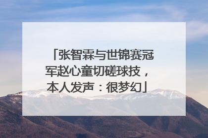 张智霖与世锦赛冠军赵心童切磋球技，本人发声：很梦幻
