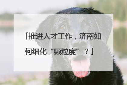 推进人才工作，济南如何细化“颗粒度”？