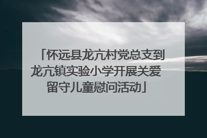 怀远县龙亢村党总支到龙亢镇实验小学开展关爱留守儿童慰问活动