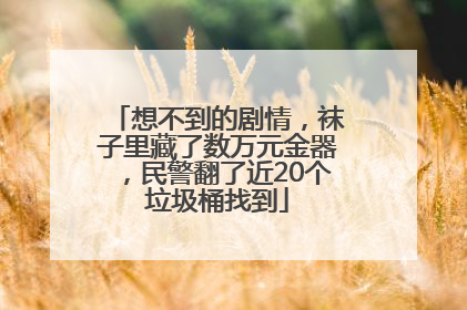 想不到的剧情，袜子里藏了数万元金器，民警翻了近20个垃圾桶找到