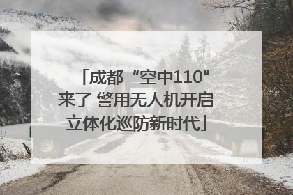 成都“空中110”来了 警用无人机开启立体化巡防新时代