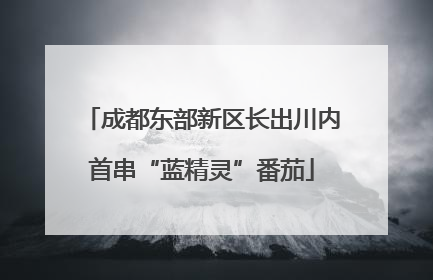 成都东部新区长出川内首串“蓝精灵”番茄