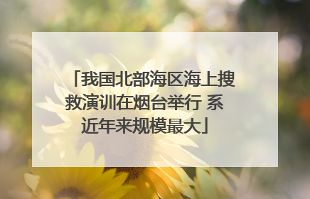 我国北部海区海上搜救演训在烟台举行 系近年来规模最大