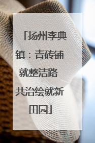 扬州李典镇：青砖铺就整洁路 共治绘就新田园