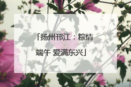 扬州邗江：粽情端午 爱满东兴
