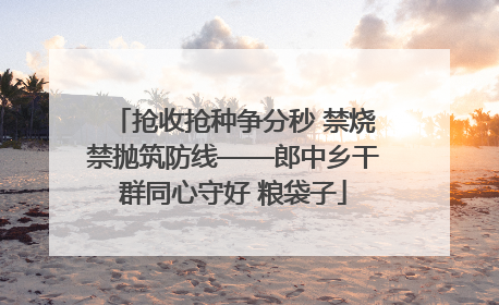 抢收抢种争分秒 禁烧禁抛筑防线——郎中乡干群同心守好 粮袋子