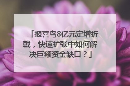 报喜鸟8亿元定增折戟，快速扩张中如何解决巨额资金缺口？