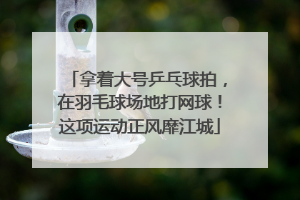 拿着大号乒乓球拍，在羽毛球场地打网球！这项运动正风靡江城