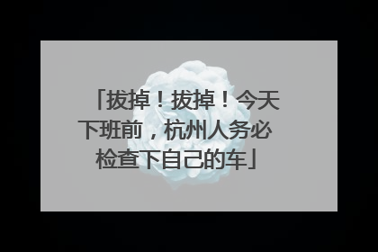 拔掉！拔掉！今天下班前，杭州人务必检查下自己的车