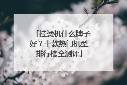 挂烫机什么牌子好？十款热门机型排行榜全测评