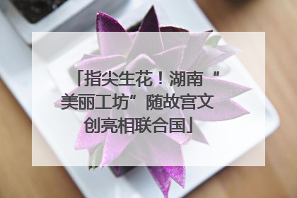 指尖生花！湖南“美丽工坊”随故宫文创亮相联合国