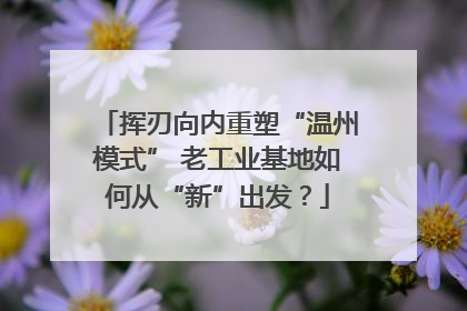 挥刃向内重塑“温州模式” 老工业基地如何从“新”出发？