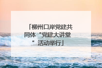 柳州口岸党建共同体“党建大讲堂”活动举行