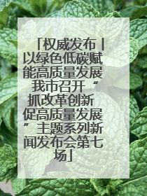 权威发布丨以绿色低碳赋能高质量发展 我市召开“抓改革创新 促高质量发展”主题系列新闻发布会第七场