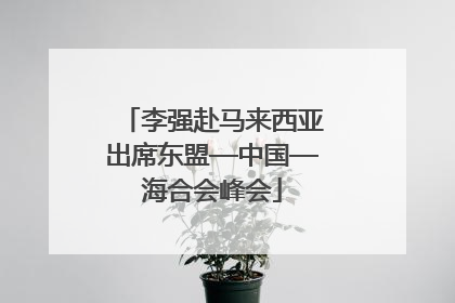 李强赴马来西亚出席东盟—中国—海合会峰会