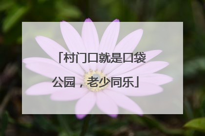 村门口就是口袋公园，老少同乐
