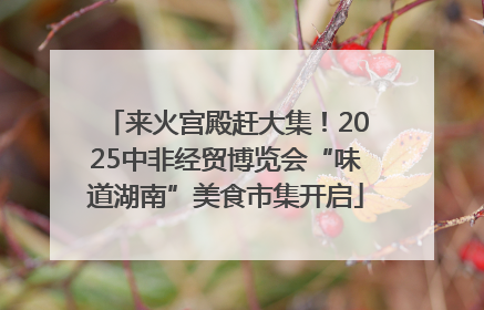 来火宫殿赶大集！2025中非经贸博览会“味道湖南”美食市集开启