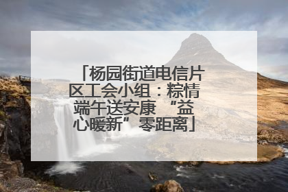杨园街道电信片区工会小组：粽情端午送安康 “益心暖新”零距离