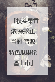 枝头果香浓 采摘正当时 晋源特色瓜果轮番上市