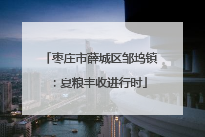 枣庄市薛城区邹坞镇：夏粮丰收进行时