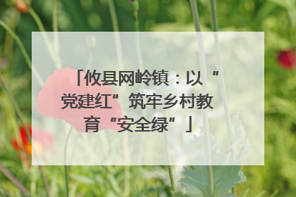攸县网岭镇：以“党建红”筑牢乡村教育“安全绿”