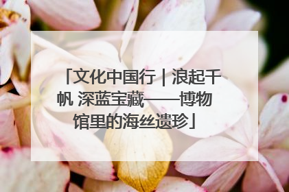 文化中国行｜浪起千帆 深蓝宝藏——博物馆里的海丝遗珍