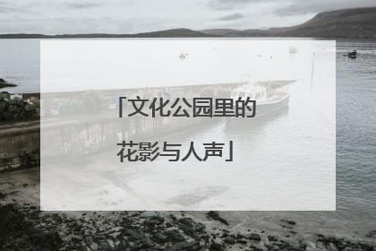 文化公园里的花影与人声