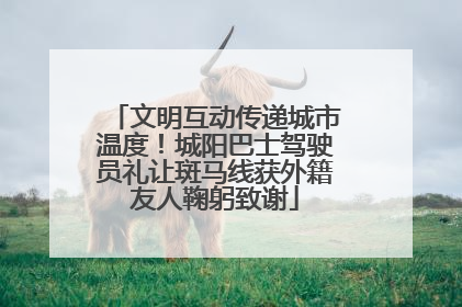 文明互动传递城市温度！城阳巴士驾驶员礼让斑马线获外籍友人鞠躬致谢