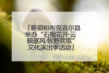 新疆和布克赛尔县举办“石榴花开·云骥逐风·牧野欢歌”文化演出季活动