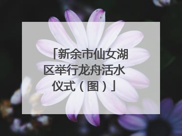 新余市仙女湖区举行龙舟活水仪式（图）