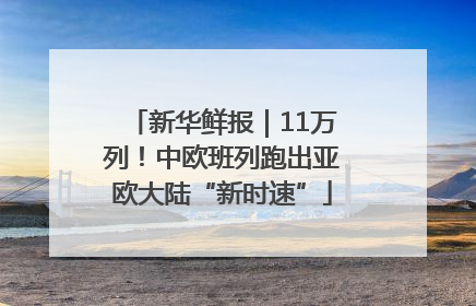 新华鲜报｜11万列！中欧班列跑出亚欧大陆“新时速”
