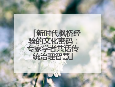 新时代枫桥经验的文化密码：专家学者共话传统治理智慧
