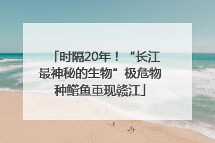 时隔20年！“长江最神秘的生物”极危物种鳤鱼重现赣江