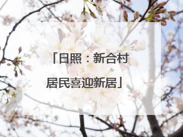 日照：新合村居民喜迎新居