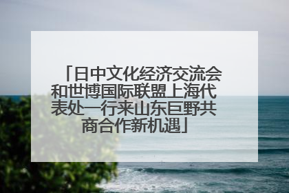 日中文化经济交流会和世博国际联盟上海代表处一行来山东巨野共商合作新机遇