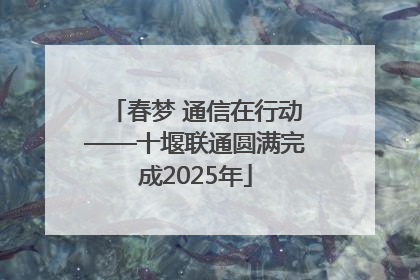 春梦 通信在行动——十堰联通圆满完成2025年