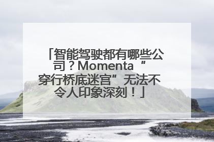 智能驾驶都有哪些公司？Momenta“穿行桥底迷宫”无法不令人印象深刻！