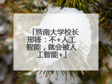 暨南大学校长邢锋：不+人工智能，就会被人工智能+