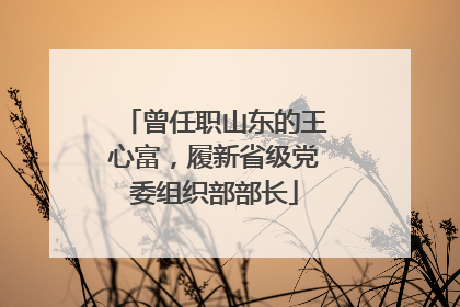 曾任职山东的王心富，履新省级党委组织部部长