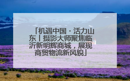 机遇中国・活力山东丨摄影大师聚焦临沂新明辉商城，展现商贸物流新风貌