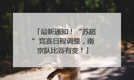 最新通知!“苏超”竞赛日程调整,南京队比赛有变!