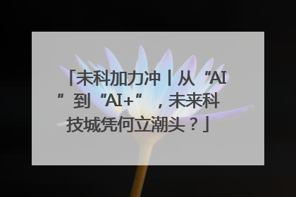 未科加力冲丨从“AI”到“AI+”，未来科技城凭何立潮头？