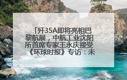 歼35A即将亮相巴黎航展，中航工业沈阳所首席专家王永庆接受《环球时报》专访：未来数量可以有很多